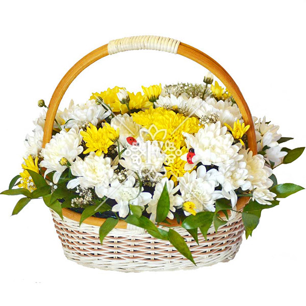 Улыбка солнца – корзина с кустовыми хризантемами Улыбка солнца - корзина с кустовыми хризантемами